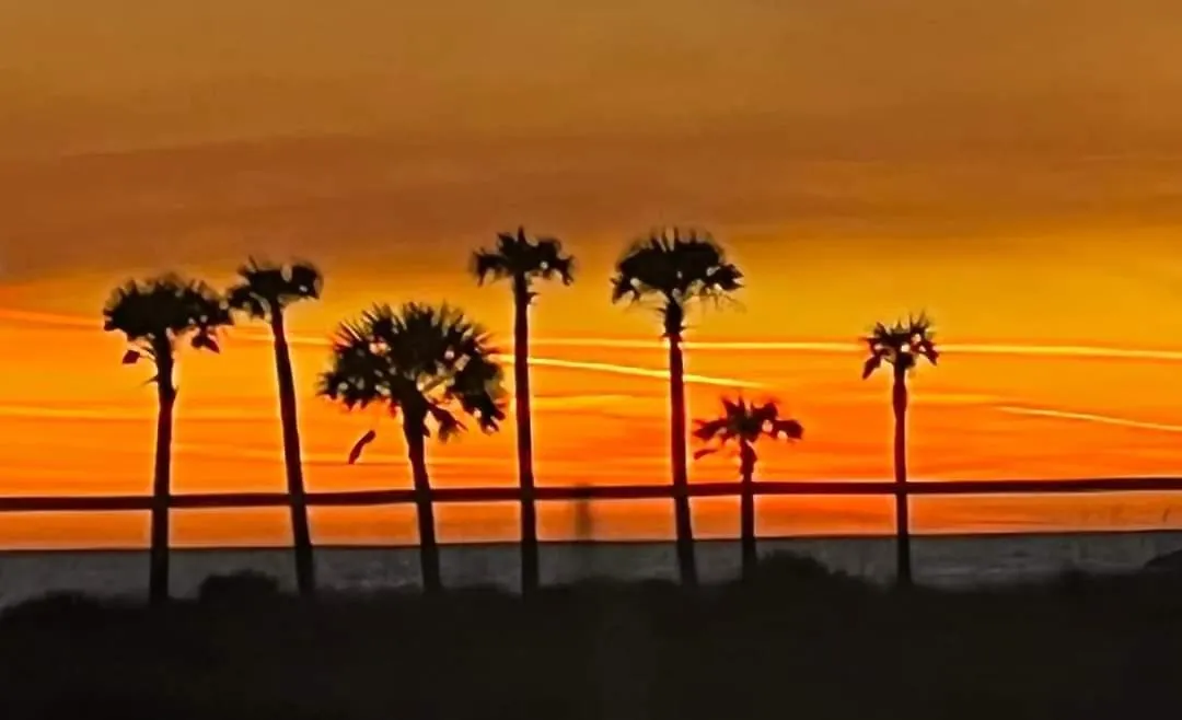 Shores Of Panama 1807 -Fantastic 2Bdbunks, Sleeps 8! Reserved Parking! Free Fun Condo Panama City Beach Apartment